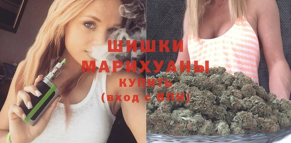 Альфа ПВП Гусиноозёрск
