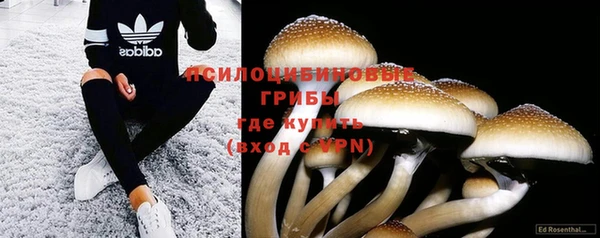 прущая мука Горнозаводск